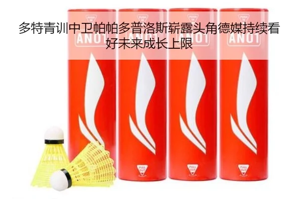 多特青训中卫帕帕多普洛斯崭露头角德媒持续看好未来成长上限